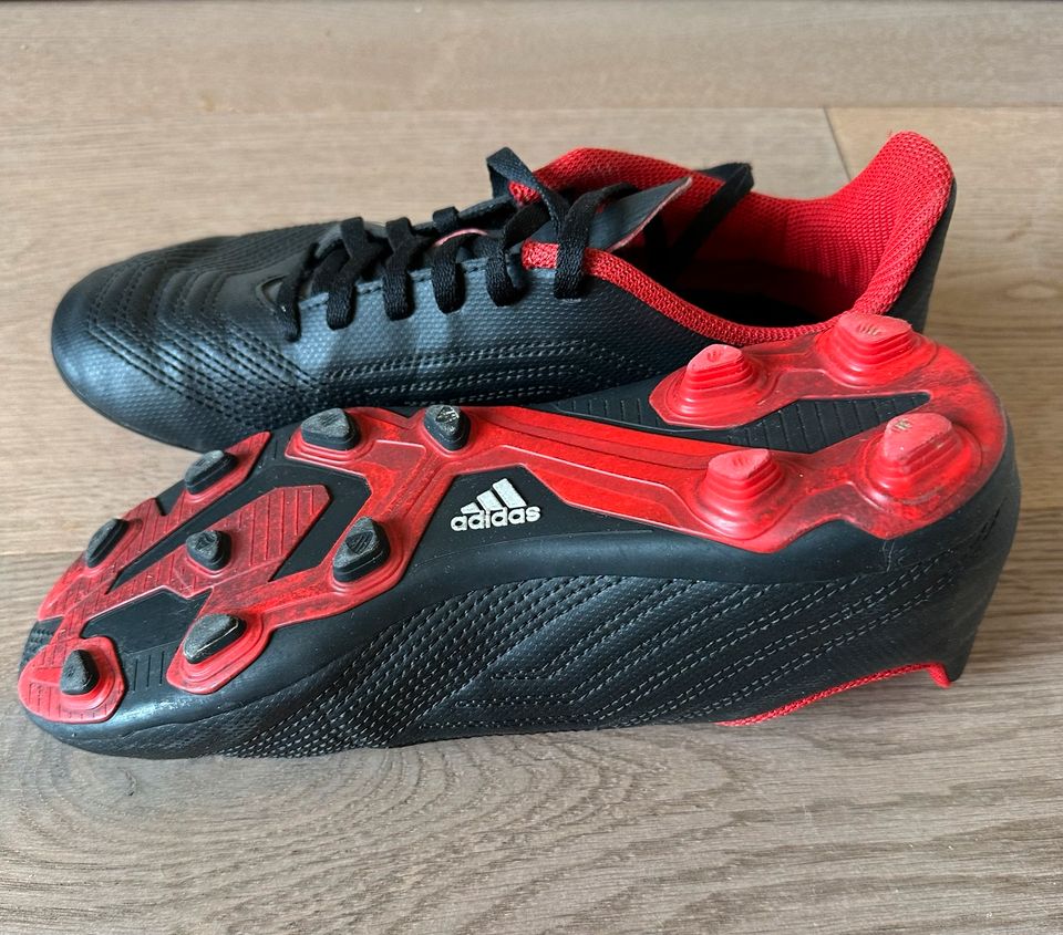 Fussball Schuhe adidas predator Gr.36 2/3 in Nienhagen MV