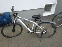 Fahrrad Focus Long Lake Cross Nordrhein-Westfalen - Hennef (Sieg) Vorschau