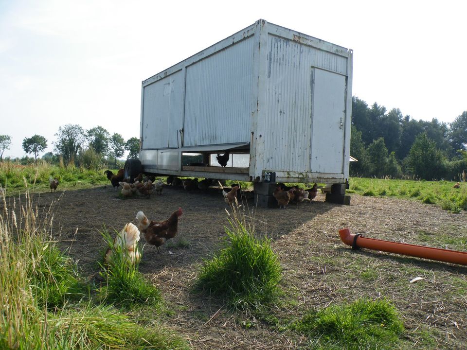 Mobilstall, Hühnermobil, mobiler Hühnerstall, Containerstall in Engelschoff