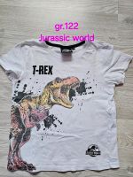 Jungen T-shirt jurassic world Dinosaurier T-rex 122 Nordrhein-Westfalen - Morsbach Vorschau