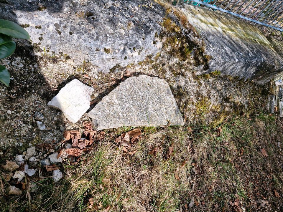 Verschenke Teichsteine Kiesel siehe Bilder in Beratzhausen