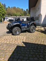 Tgb Blade 1000 Lof ATV Quad Rheinland-Pfalz - Staudernheim Vorschau