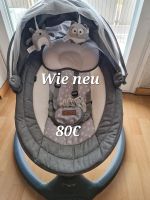 Babywippe mit Drehmotor und Fliegennetz. Wie neu kaum genutzt Bayern - Dietenhofen Vorschau