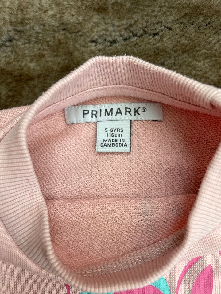 Pullover rosa Einhorn 116 warm primark Regenbogen bunt Sweatshirt in Frechen
