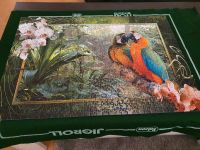 Papageien im Dschungel - 1000 Teile von Ravensburger mit Karton Nordrhein-Westfalen - Euskirchen Vorschau