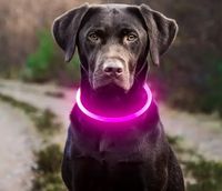 LED Hundehalsband Dresden - Seevorstadt-Ost/Großer Garten Vorschau