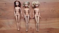 3 x my scene Puppe barbie swappin heads mattel modepuppe Rheinland-Pfalz - Biebelnheim Vorschau