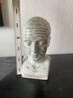 Porzellan Kopf Lehrmittel Neurologie Schleswig-Holstein - Ahrensburg Vorschau