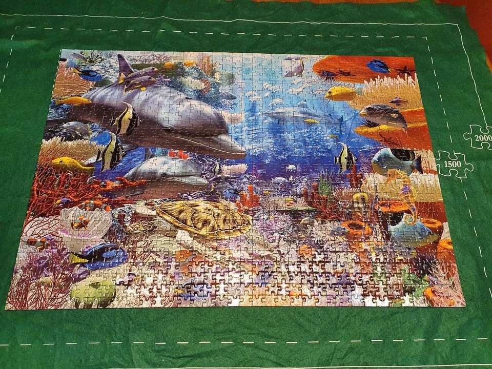 Puzzle 1000 Teile Ravensburger Delfine in Hamburg