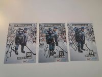 Hamburg Freezers Autogrammkarten 2012 Schleswig-Holstein - Ahrensburg Vorschau