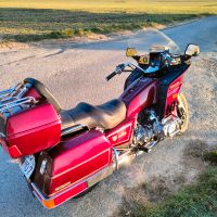 Honda Goldwing (TÜV neu) Hessen - Reinheim Vorschau