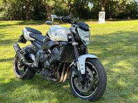 Yamaha FZ1 1000 Shark Hessen - Wetzlar Vorschau