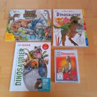 Dino Bücher Sticker und DVD Konvolut 4 Stück Baden-Württemberg - Efringen-Kirchen Vorschau