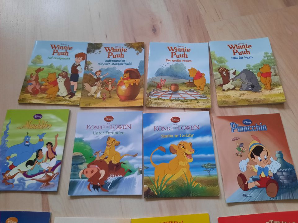 13 mal Mini-Buch Disney Winnie Puuh Märchen Pinocchio Aladdin u. in Fürstenstein
