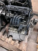 VW Golf 4 Motor Motorcode: AXP 55 KW 75 PS 1,4L Bayern - Bad Berneck i. Fichtelgebirge Vorschau