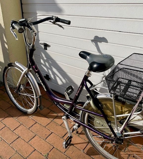 Gazelle Bloom Familien-Fahrrad-Fahrvergnügen Damenfahrrad in Velten