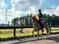 Reiten auf Isländern Nordrhein-Westfalen - Solingen Vorschau