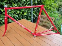 Lüders Profi Rennrad Rahmen Reynolds 531 Campagnolo C Record Nordrhein-Westfalen - Bornheim Vorschau