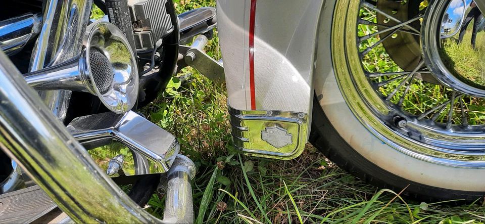 1994 HARLEY DAVIDSON HERITAGE SOFTAIL SPECIAL in Pirmasens