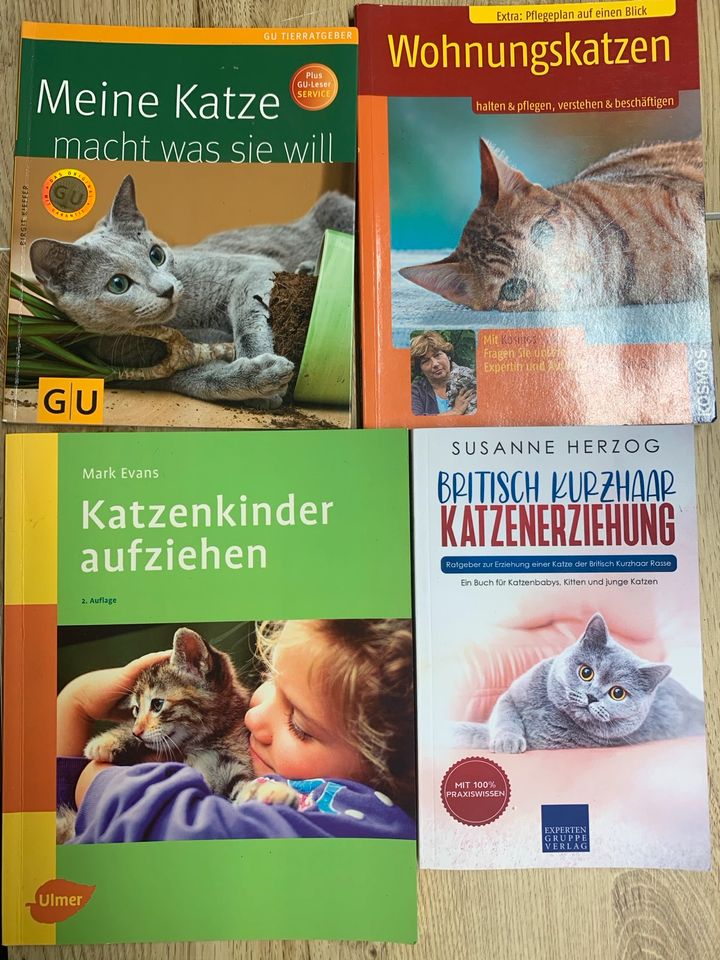 4 Katzenbücher BKH British Kurzhaar in Püttlingen