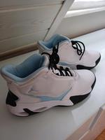 Nike Jordan Schuhe gr. 38 -39 Hessen - Petersberg Vorschau