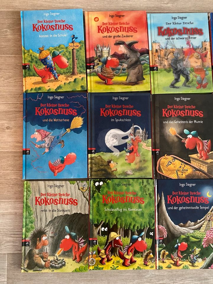 Der kleine Drache KOKOSNUSS Bücher/Sammlung, 15 Stück, TOP! in München