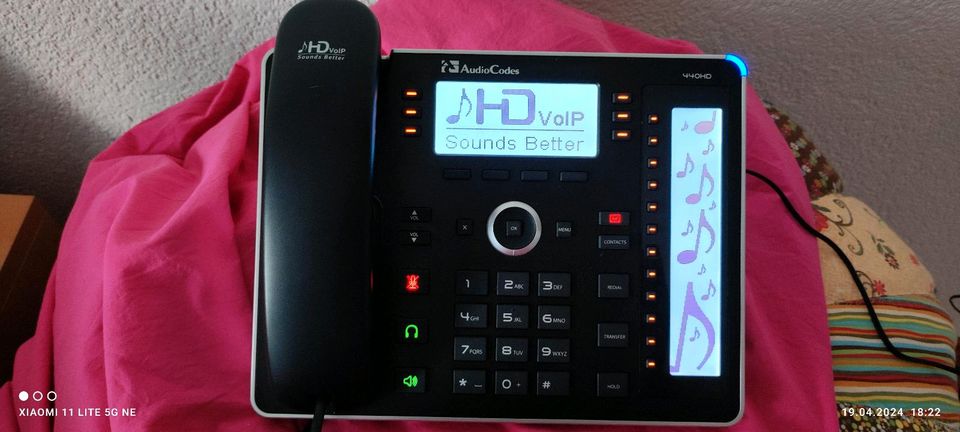 AudioCodes 440HD in Hattersheim am Main