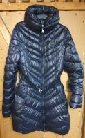 Blauer USA Winterjacke/Mantel Daunen München - Moosach Vorschau