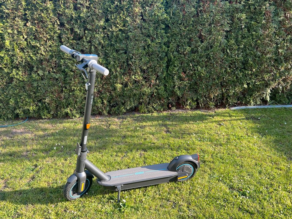 Ninebot G30D 2 e-Roller - Scooter - eroller in Dresden