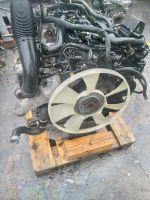 Motor Mercedes  Sprinter  651955 2.2cdi 163ps  44tkm  komplett Berlin - Spandau Vorschau