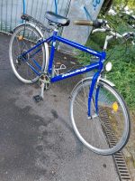 Fahrrad Rocky 28 Zoll 24 Gang Münster (Westfalen) - Wolbeck Vorschau