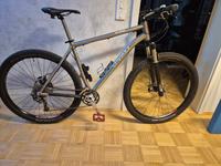 Lynskey M290 Mountainbike MTB Titan XL 29 Zoll Baden-Württemberg - Mannheim Vorschau