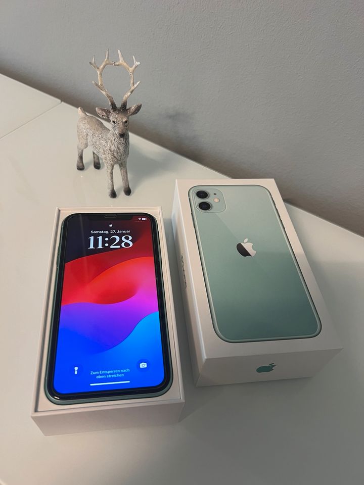 iPhone 11 64 GB in Klein-Winternheim