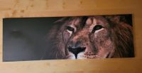 Löwenbild Keilrahmen, 120x40cm Niedersachsen - Garbsen Vorschau