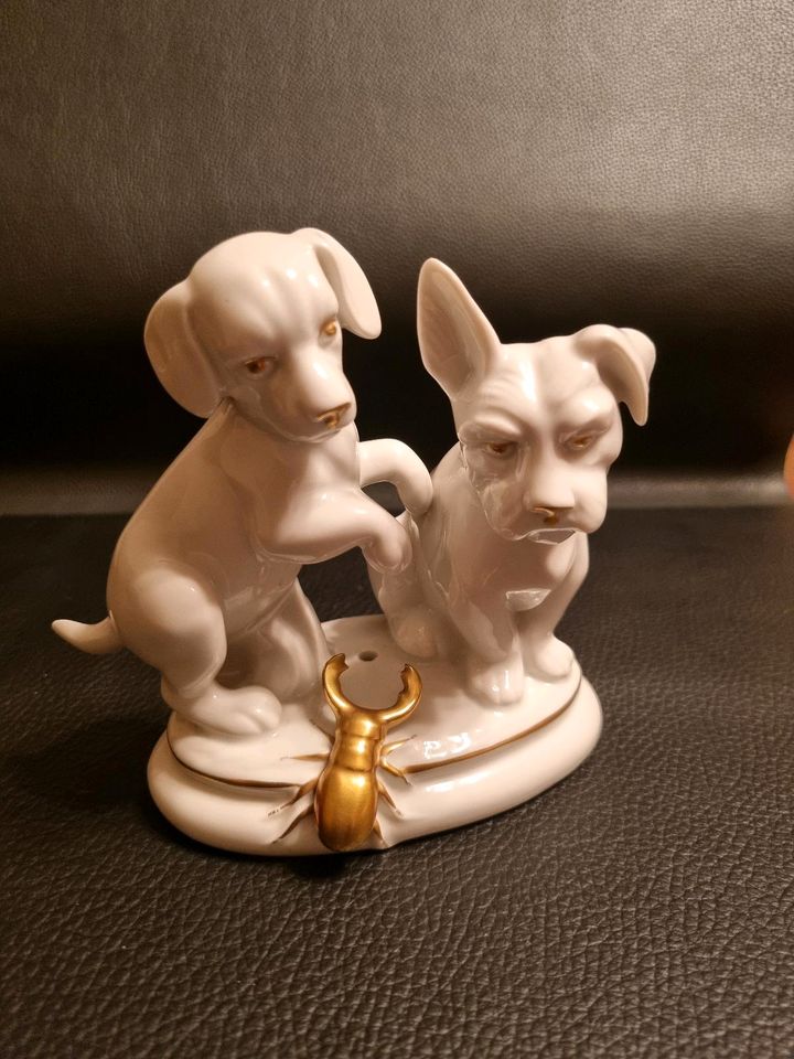 Weiße Porzellan Figuren Hund Käfer mit Goldrand in Siegen