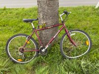Fahrrad mit kaputtem Vorderrad Hessen - Groß-Umstadt Vorschau