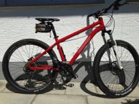 Jugend-Mountainbike von Boneshaker 26" Bayern - Raubling Vorschau