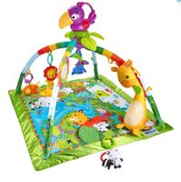 Fisher Price Spielbogen Bad Doberan - Landkreis - Satow Vorschau