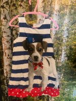 Kleid Gr.98 von H&M Maritim Anker Jack Russel Welpe gestreift Mecklenburg-Vorpommern - Gnoien Vorschau