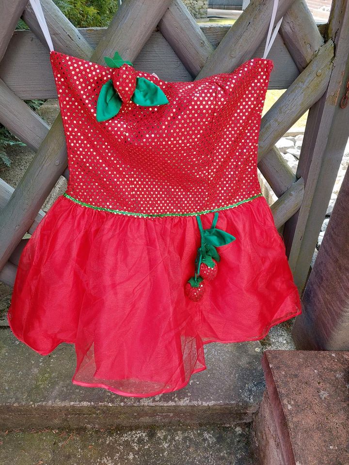 Damen Fasching kostüm Erdbeere in Gladenbach
