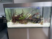 Eheim 300L Aquarium Viel Zubehör Bayern - Geiselbach Vorschau