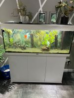 Aquarium+Equipment zu verkaufen Bayern - Allershausen Vorschau