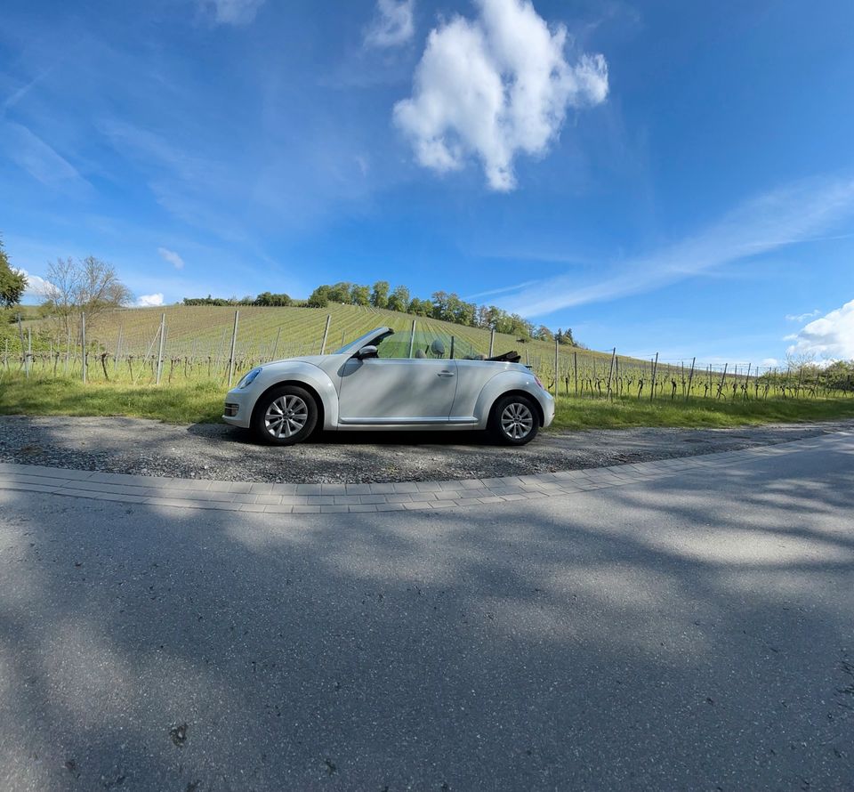 Volkswagen Beetle Cabrio in Bensheim