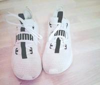 Puma Herren Sneaker Pankow - Karow Vorschau