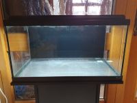 54l Aquarium Aquatlantis Bayern - Buttenwiesen Vorschau