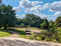 Jungpferde Aufzuchtplatz Hengste Stuten Absetzer bis 3 Jährig Mecklenburg-Vorpommern - Grapzow Vorschau