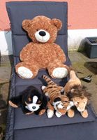 Kuscheltiere, Stofftiere Teddy, Löwe, Tiger, Hund Nordrhein-Westfalen - Herzogenrath Vorschau
