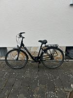 Gudereit Damenrad Fahrrad Comfort 7.0 Top Rad 28 Zoll ! Nordrhein-Westfalen - Leopoldshöhe Vorschau