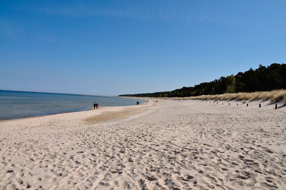 SPONTAN AN DIE OSTSEE, FERIENHAUS, BARRIEREFREI, GERNE MIT HUND in Lubmin