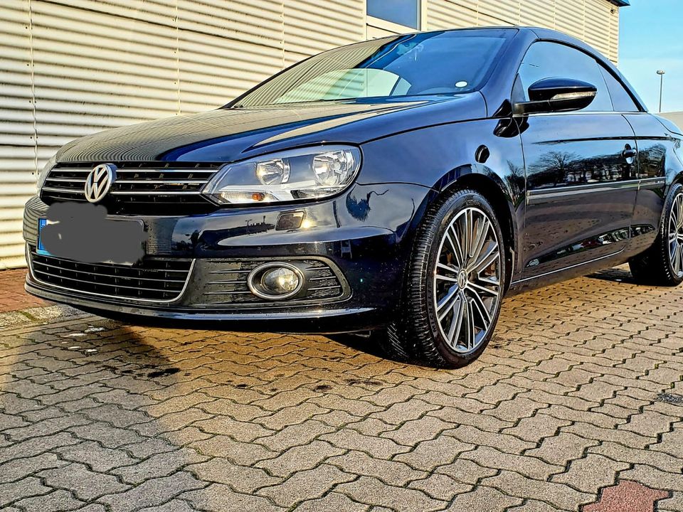 VW EOS 2.0 TDI DSG BMT Exclusive Leder Sportfahrwerk ! in Elmshorn